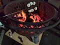 MITers West Holiday Party 2024 Mega Marshmallow Roaster.jpg