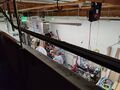 Pawpring Prototyping peek over rail Dember 2024.jpg