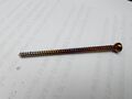 MITers West Holiday Party 2024 Titanium Bone Screw Blow Torch Flame Hand Anodized Finish.jpg